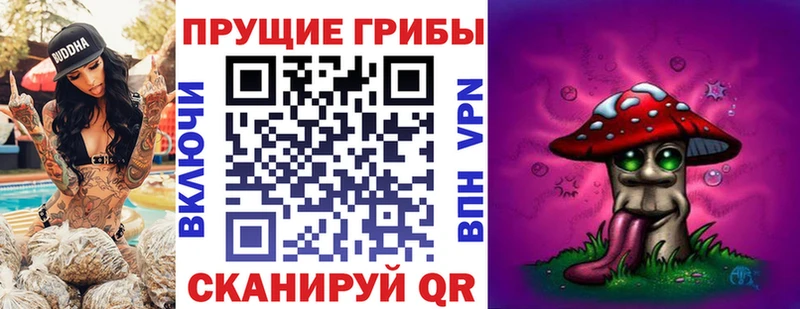 даркнет сайт  Лодейное Поле  Галлюциногенные грибы ЛСД 